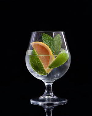 PERFECT GIN TONIC